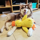 Pato de Peluche Interactivo Premium - Juguete de Alivio de Estrés y Ansiedad para Mascotas